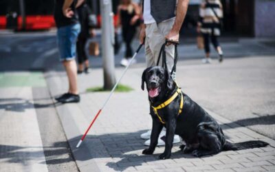 Service Animals and Individuals with Disabilities
